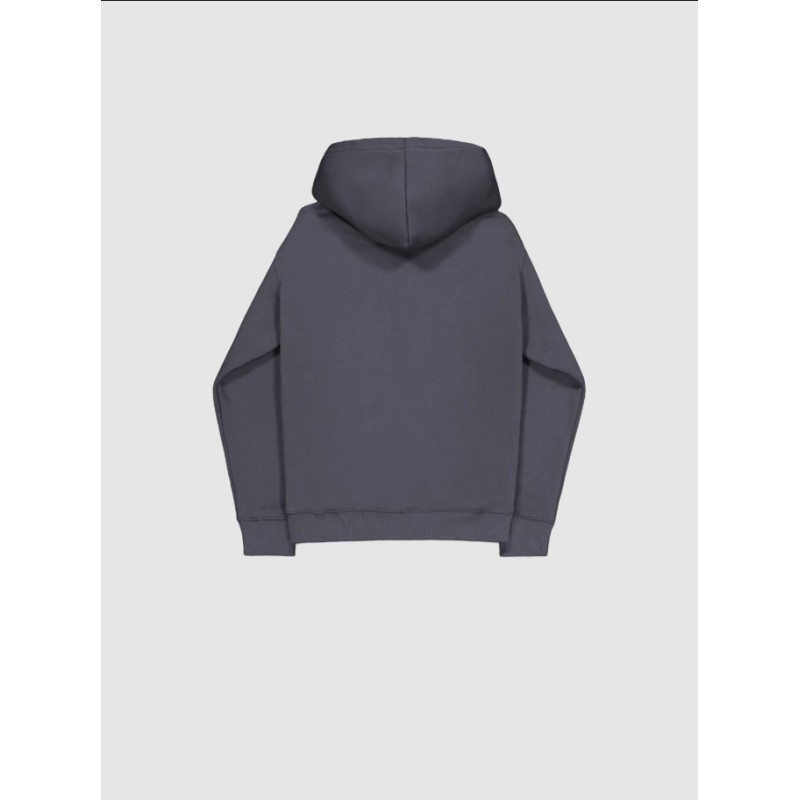 118342 684 BASIC ZIP HOODIE SL