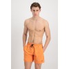 106810 429 HYDROCHROMIC AOP SWIMSHORT