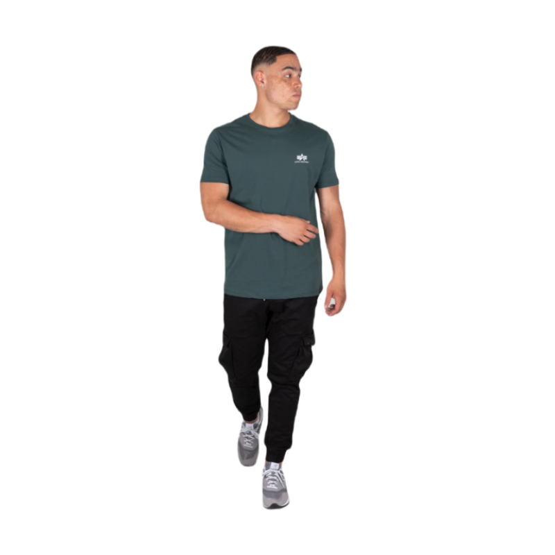 188505 610 BASIC T SMALL LOGO