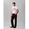 LV04RE810G YAA SS20S LN CALVIN COLLEGE GRAPHIC
