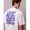 LV04RE806G YAA SS16S CALVIN SOMEWHERE GRAPHIC