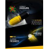 CREP PROTECT PILLS