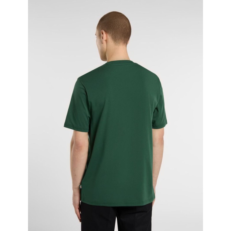 DK0A4XDBPIN1 MAPLETON SS TEE PINE NEEDLE GREEN