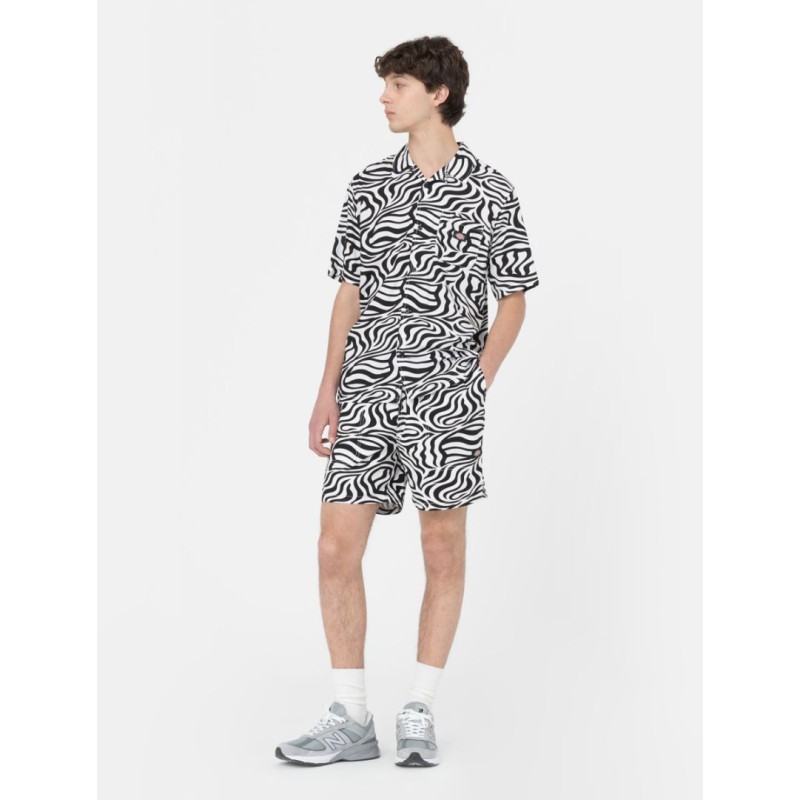 DK0A4Y7YF311 LEESBURG SHORT CLOUD ZEBRA