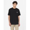 DK0A4YAIBLK1 SUMMERDALE BLACK