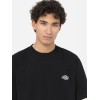 DK0A4YAIBLK1 SUMMERDALE BLACK