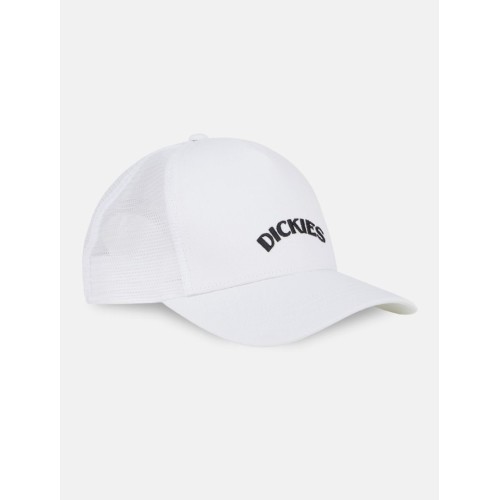 DK0A4YPGC581 SHAWSVILLE TRUCKER CLOUD