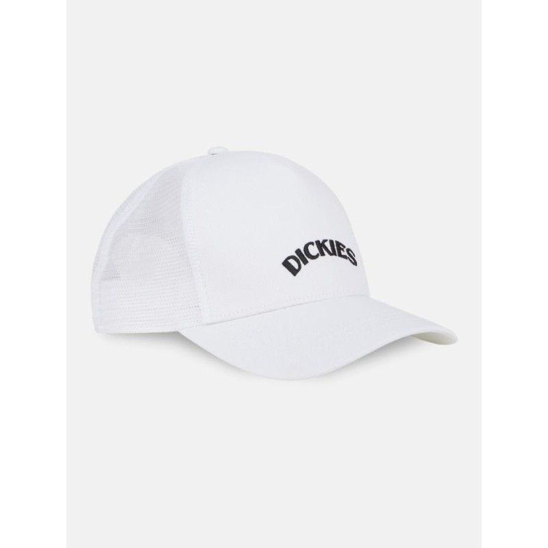 DK0A4YPGC581 SHAWSVILLE TRUCKER CLOUD