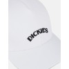 DK0A4YPGC581 SHAWSVILLE TRUCKER CLOUD