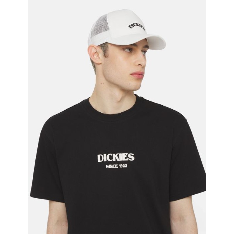 DK0A4YPGC581 SHAWSVILLE TRUCKER CLOUD