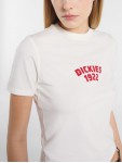 DK0A4Z8FC481 CENTER LOGO SS TEE W EGRET