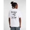 DK0A87QX0WH1 DICKIES DINER TEE SS WHITE