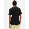 DK0A4XDBBLK1 SS MAPLETON T-SHIRT BLACK