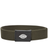 DK0A4X7EOGX1 ORCUTT WEBBING BELT OLIVE GREEN