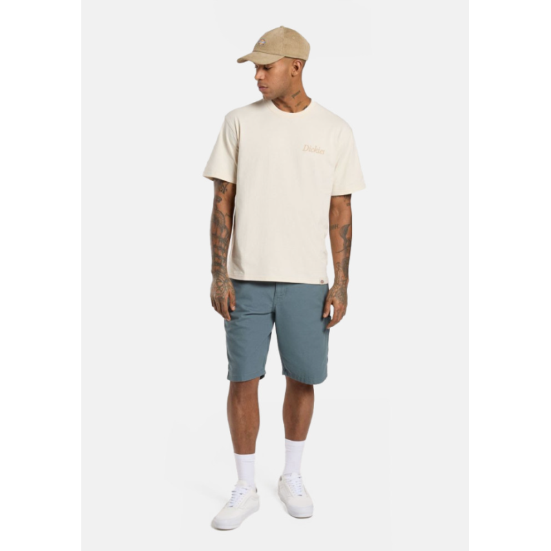 DK0A4XNGG701 DUCK CARPENTER SHORT STORMY WEATH