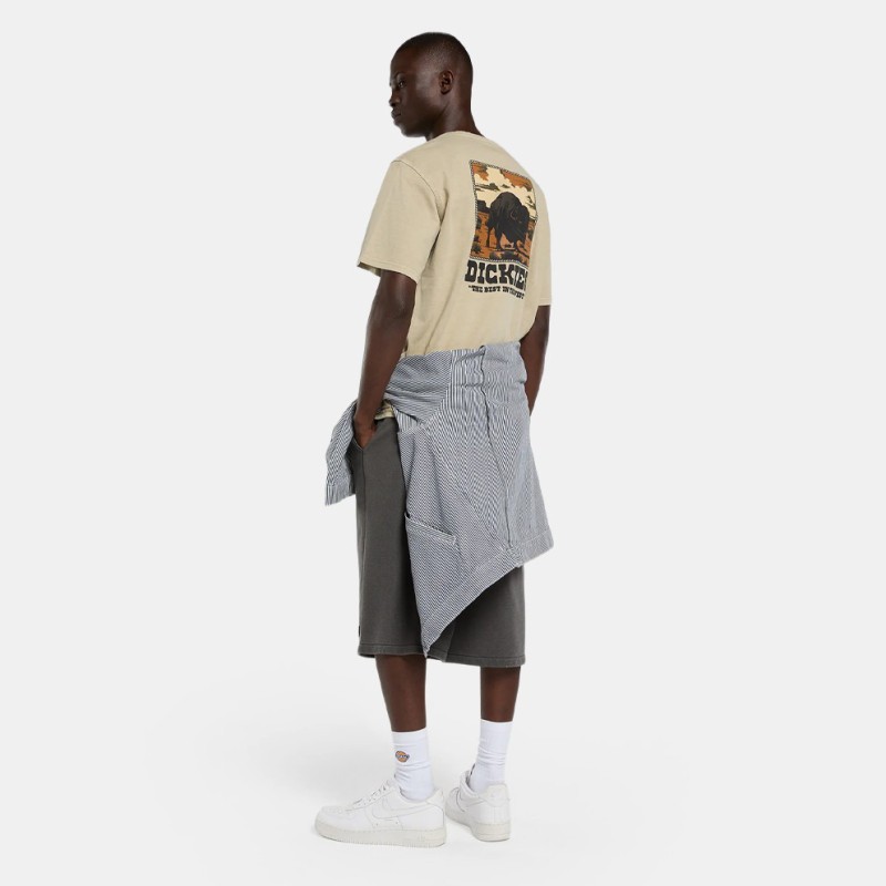 DK0A88QQL441 DARRTOWN SS TEE EUCALYPTUS