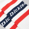 DK0A4XDKWHX1 GENOLA WHITE