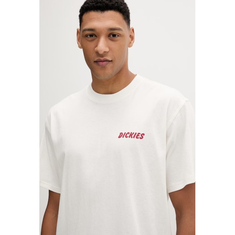 DK0A8853C481 DRY RIDGE SS TEE EGRET