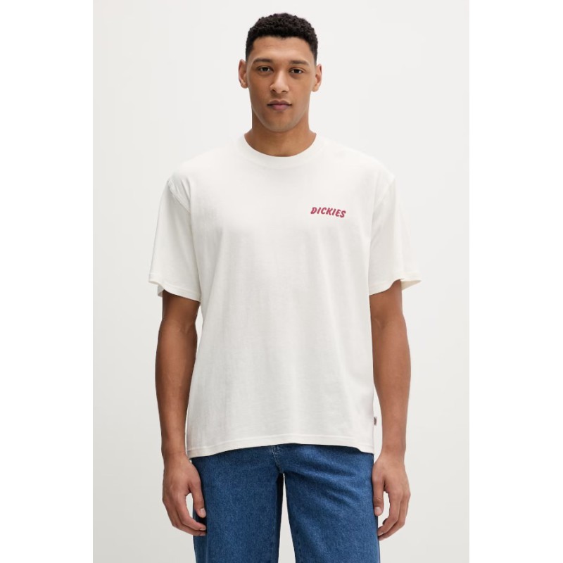 DK0A8853C481 DRY RIDGE SS TEE EGRET