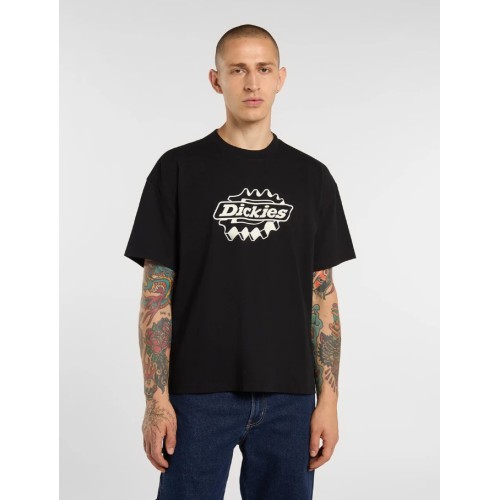DK0A88PDBLK1 IRONDALE SS TEE BLACK