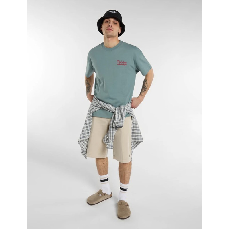 DK0A881W0ST1 247 GD 13 INCH SHORT STONE
