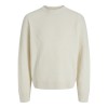 12283169 JCOGRID KNIT CREW NECK