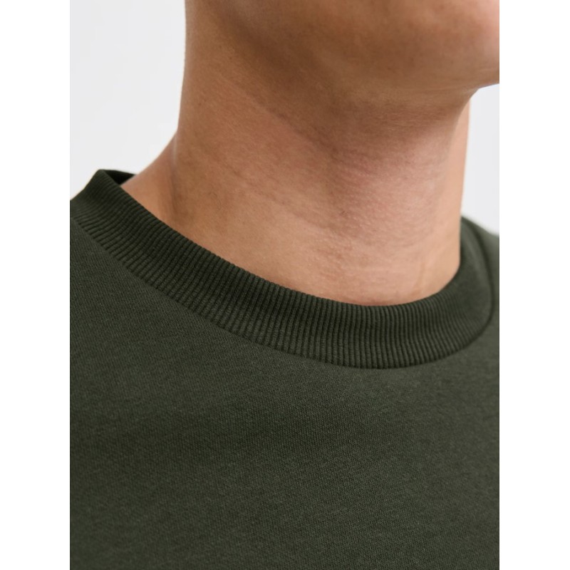 12279256 JJBRANDY SWEAT CREW NECK LN