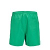 12225961 JPSTFIJI JJSWIM SOLID SN LY