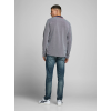 12174038 JPRBLUWIN POLO LS GREY