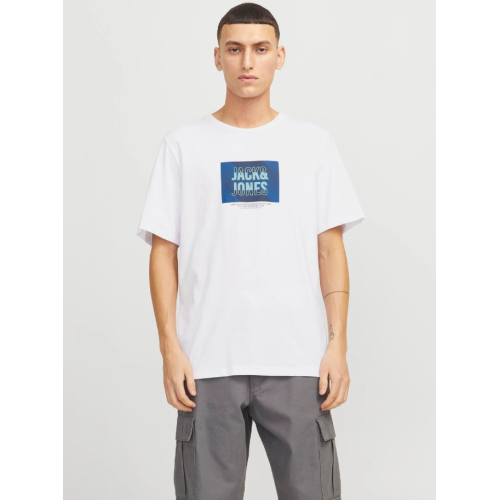 12268477 JJHUDSON TEE SS CREW NECK LN
