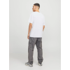 12268477 JJHUDSON TEE SS CREW NECK LN