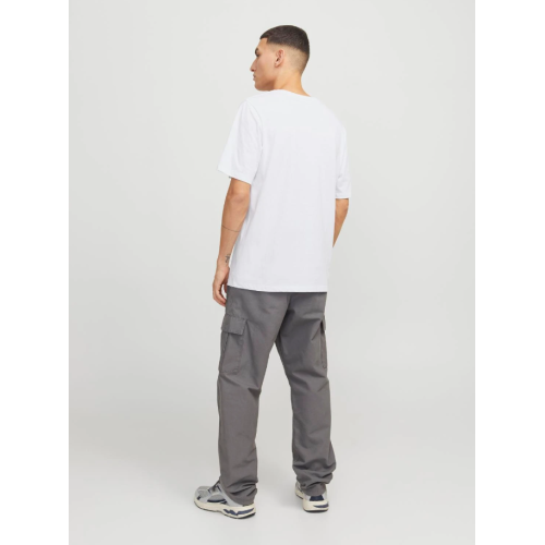12268477 JJHUDSON TEE SS CREW NECK LN