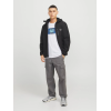 12268477 JJHUDSON TEE SS CREW NECK LN