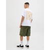 12269374 JPSTKARL AVERY CARGO SHORTS MID