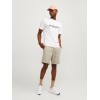 12165604 JJIBOWIE JJSHORTS SOID SA