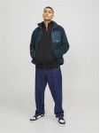 12250737 JJEPAULOS SWEAT ZIP
