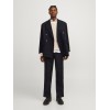 12262944 JPSTBILL JJSOLARIS PANT MOD EX1 24