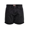 15196226 ONLPHINE LIFE SHORTS BB MAS0003