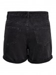 15196226 ONLPHINE LIFE SHORTS BB MAS0003