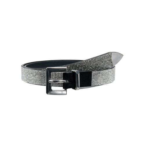 15308305 ONLATHENA GLITTER PU JEANS BELT ACC SILVER