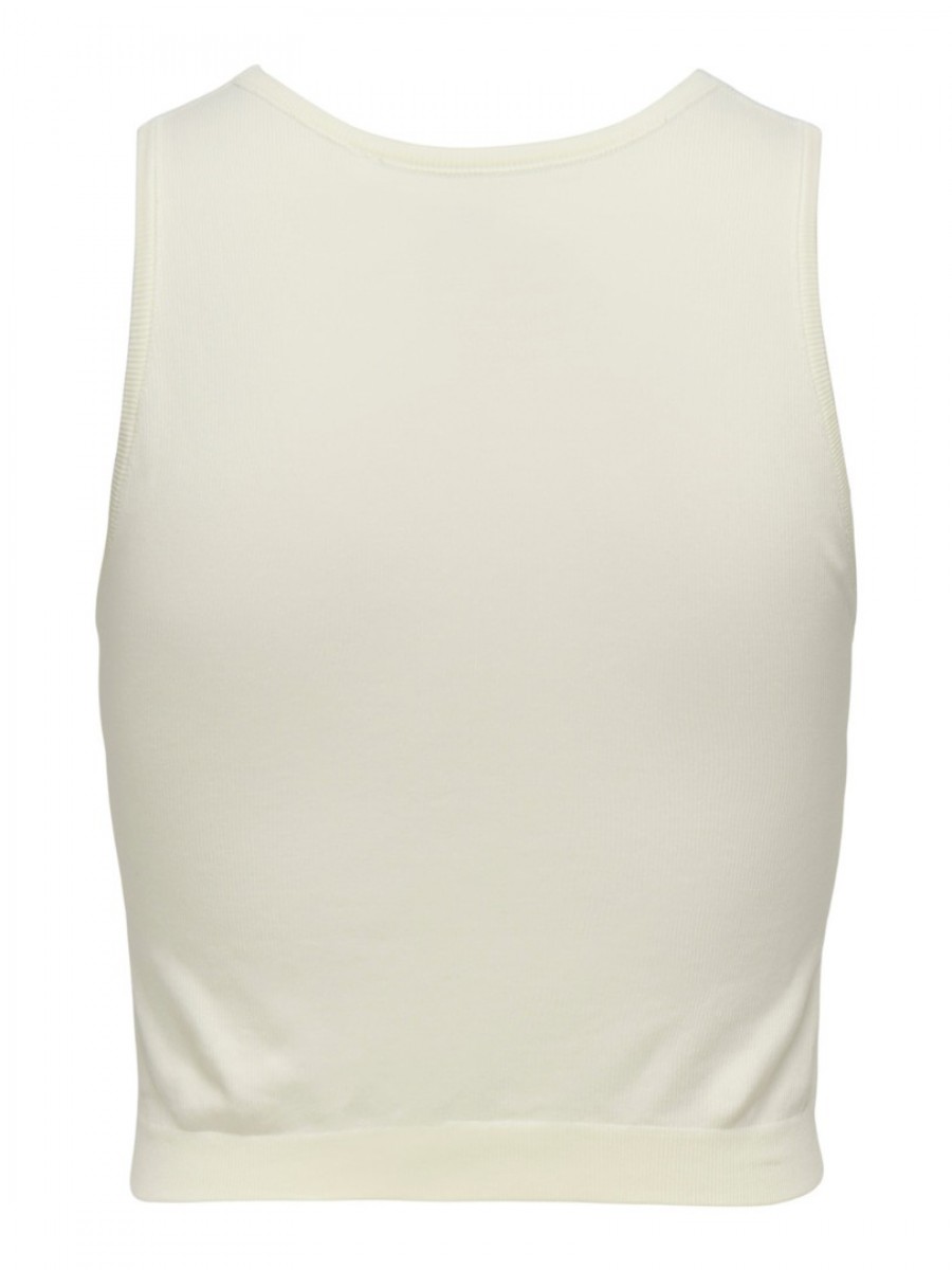 15271533 ONLVICKY SEAMLESS O-NECK S/L CROPPED TOP