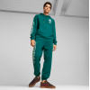622202 43 PUMA X STAPLE HOODIE TR