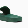 384139 26 LEADCAT SLIDES LOW