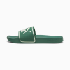 384139 26 LEADCAT SLIDES LOW
