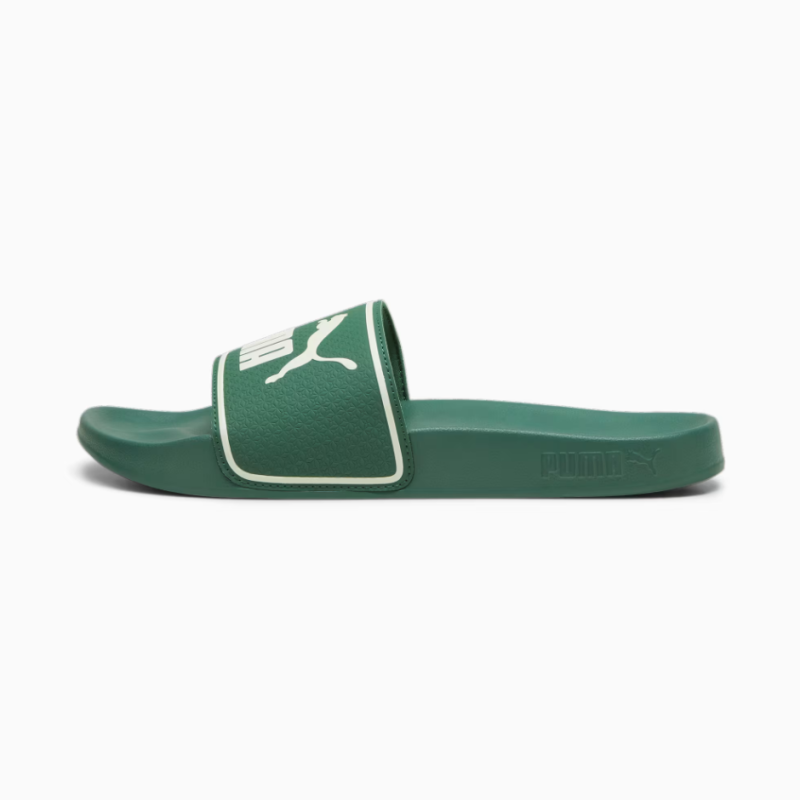 384139 26 LEADCAT SLIDES LOW