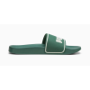 384139 26 LEADCAT SLIDES LOW