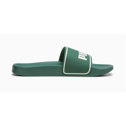 384139 26 LEADCAT SLIDES LOW