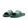 384139 26 LEADCAT SLIDES LOW