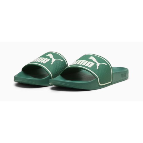 384139 26 LEADCAT SLIDES LOW