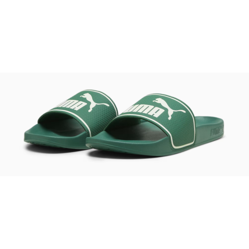 384139 26 LEADCAT SLIDES LOW